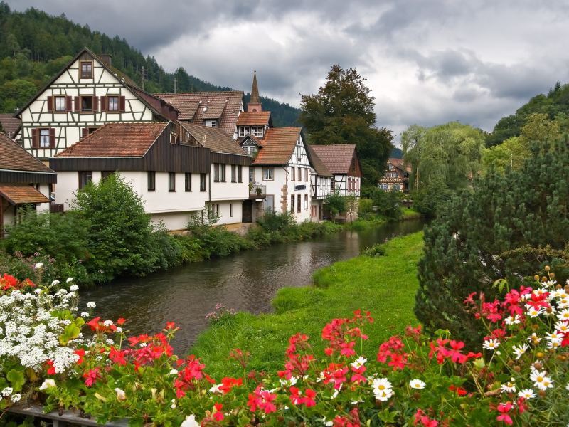 Germany | August Update