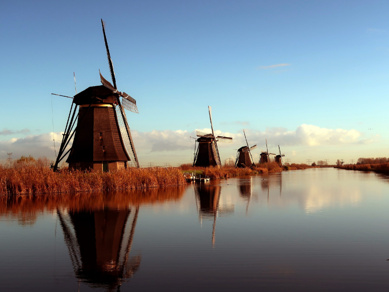 Netherlands | July Update