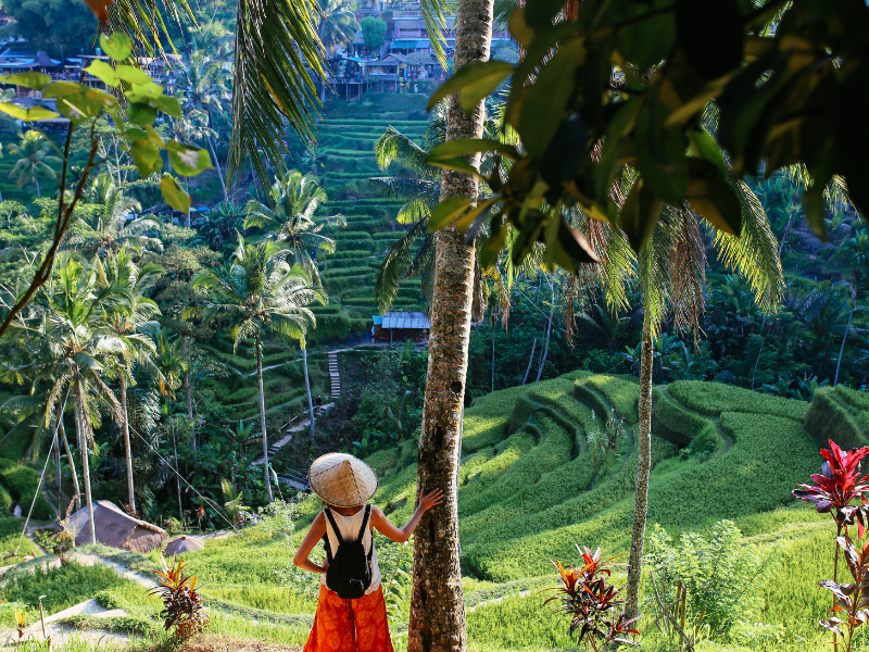 Indonesia | September Update