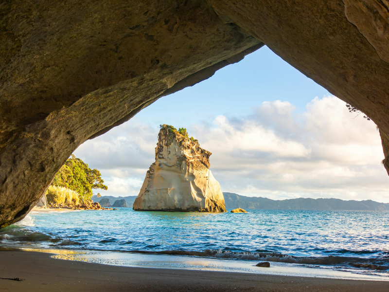 New Zealand | September Update