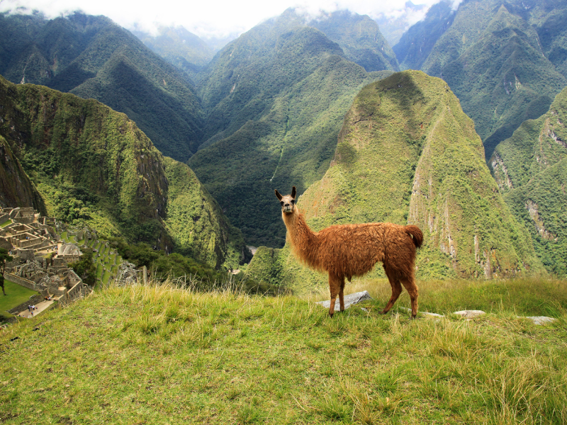 Peru | September Update