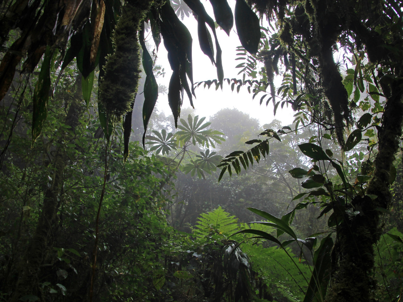 Costa Rica | September Update