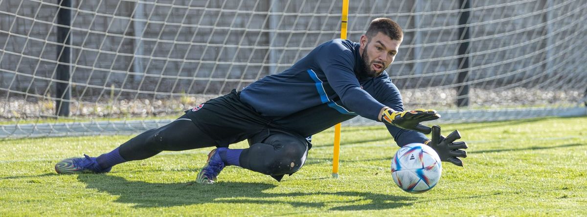 Looking at Toronto FC's options in the MLS free agency market