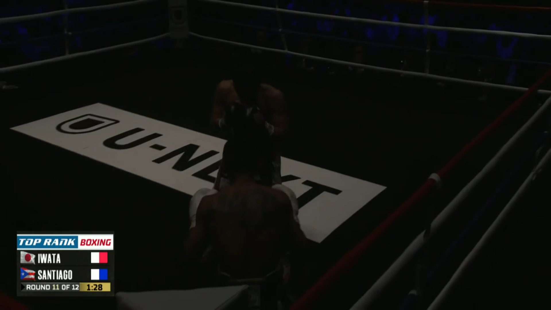 A screenshot of Iwata-Santiago where the picture in round 11 is inexplicably dark, it looks kind of cool though