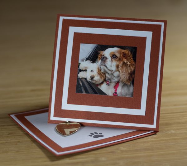Twist Easel Card Project