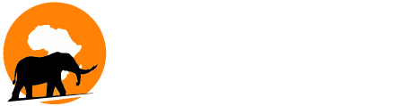Coinsolation Newsletter