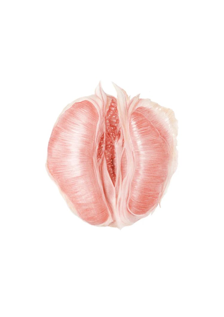 Friday Listening: July 21, 2023