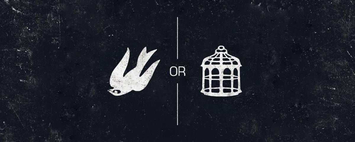 Fate on Freedom, the Illusion, and What Is