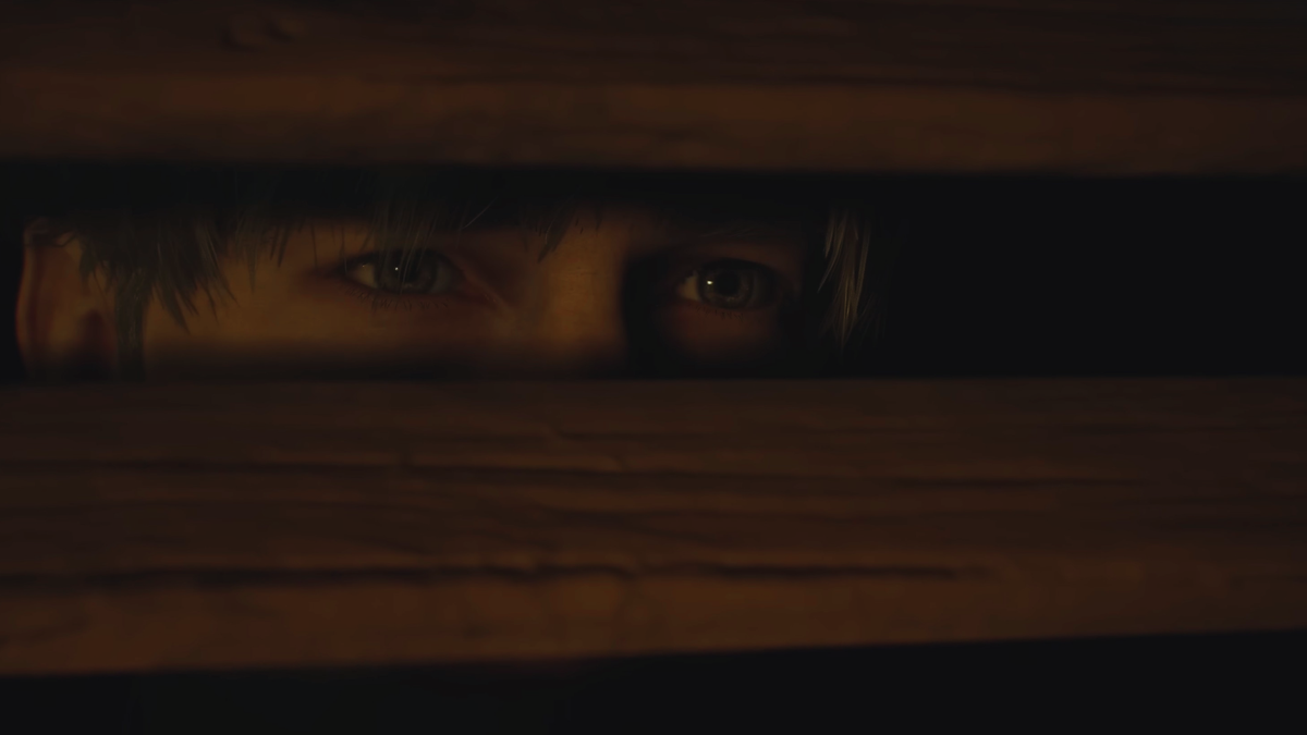 Fate on Why Humans Are So Bad At Using Their Eyes