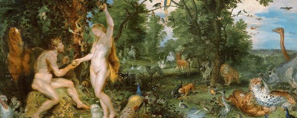 Fate on the First Human—The Descent from Divine