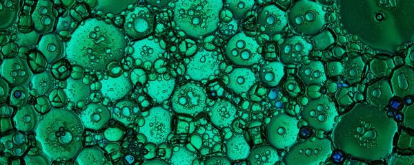 Fate on the Microcosm of Humanity—Fragments of Illusion