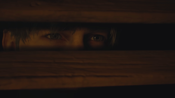 Fate on Why Humans Are So Bad At Using Their Eyes