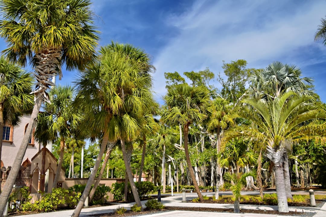 Picnic Island Park waterfront and fishing pier in Port Tampa City