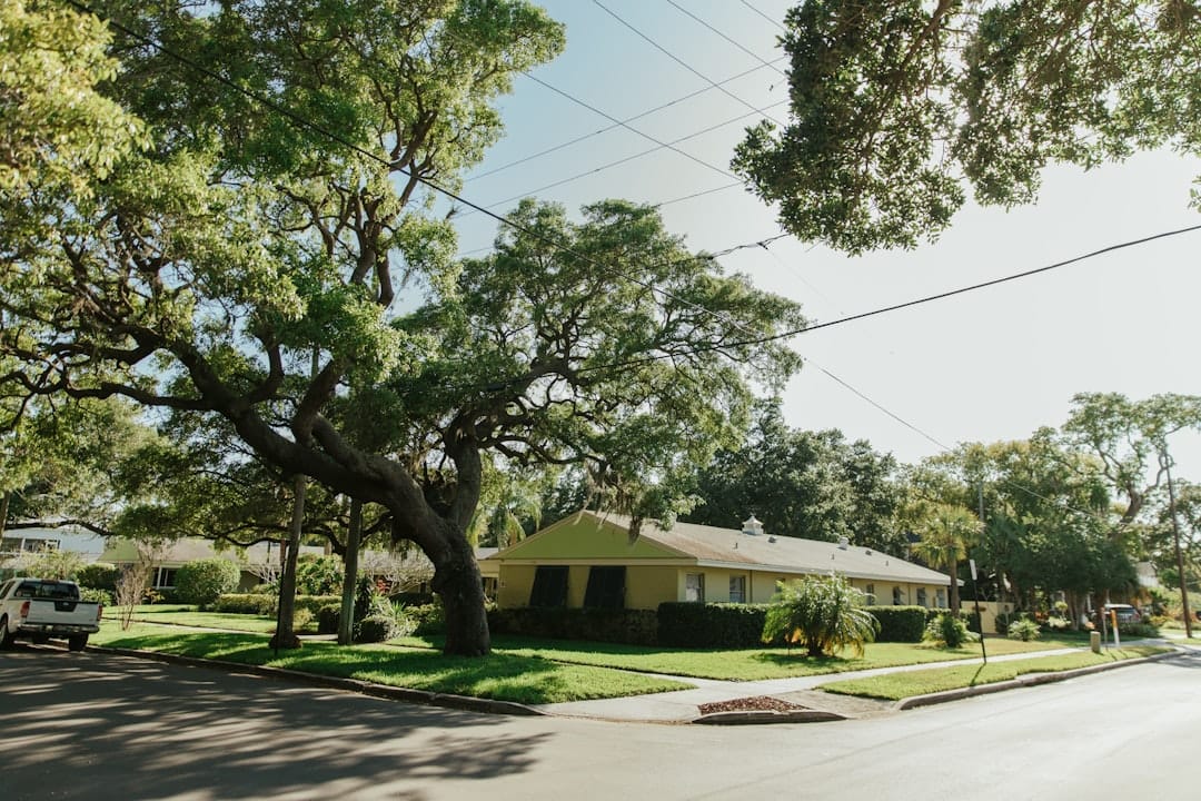 Family rental home with a large yard and mature oak trees in east Hillsborough County