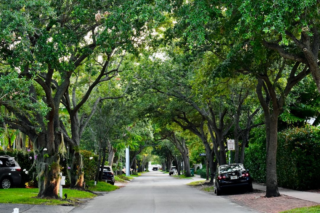 Paved trail through a lakeside Central Florida park near Winter Springs
