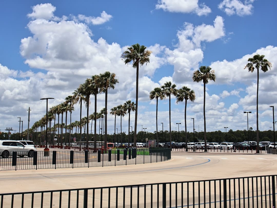 Open-air shopping village storefronts with palm trees