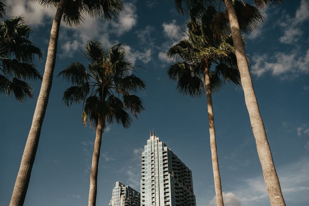 Bayshore Boulevard waterfront sidewalk near Palma Ceia