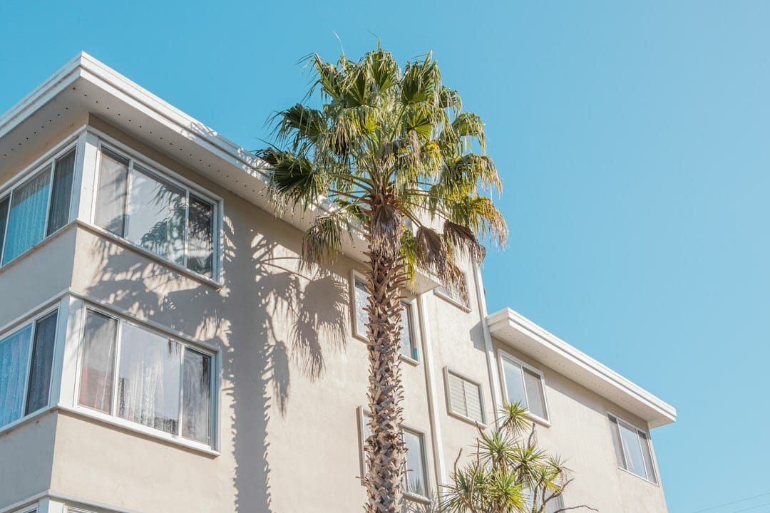 Small white low-rise apartment building with a palm tree under clear sky