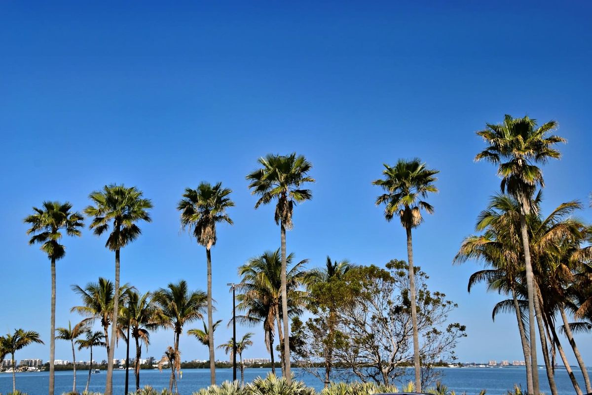 Florida Landlord Briefing: June 2026