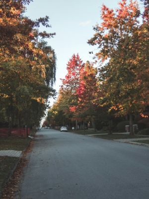 Winter Park Rental Investment: Premium Tenants, Strong Appreciation