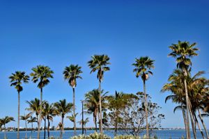 A calm Florida shoreline under early storm-season skies