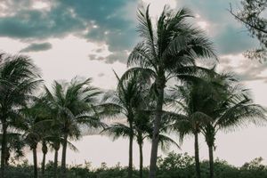 How to Prep a Florida Rental for Summer Storm Season