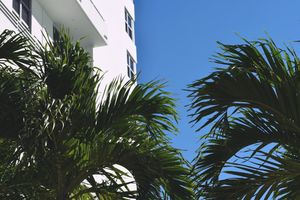 Seasonal Maintenance for Florida Rentals: A Month-by-Month Guide