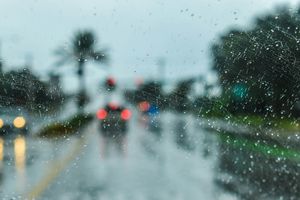 Flood Insurance for Florida Rental Properties: NFIP vs. Private Market