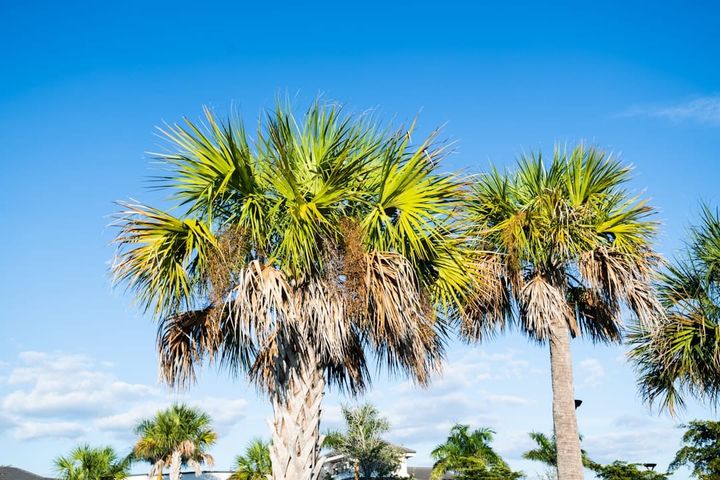 How to Buy Your First Rental Property in Florida: A Step-by-Step Guide