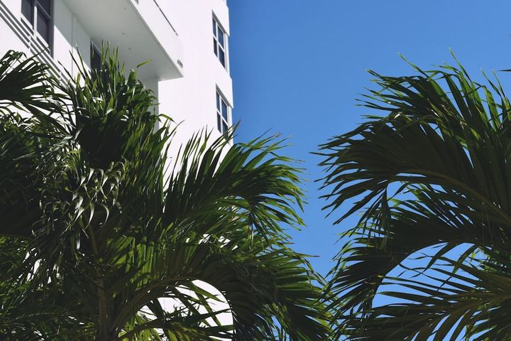 Seasonal Maintenance for Florida Rentals: A Month-by-Month Guide