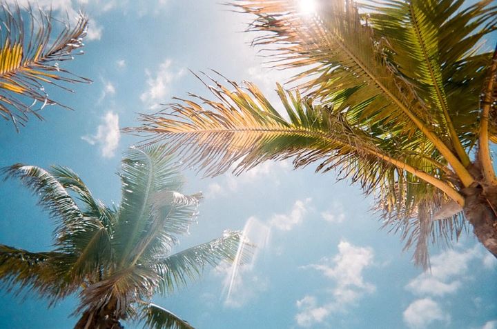 The Best Time to Rent Out a House in Tampa (11 Years of Data)