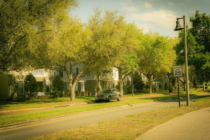 Palma Ceia Tampa Rental Investment: The Plant Zone Premium