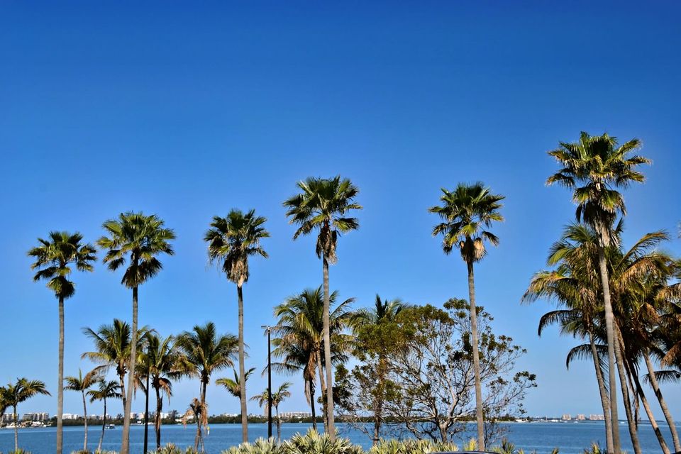 A calm Florida shoreline under early storm-season skies