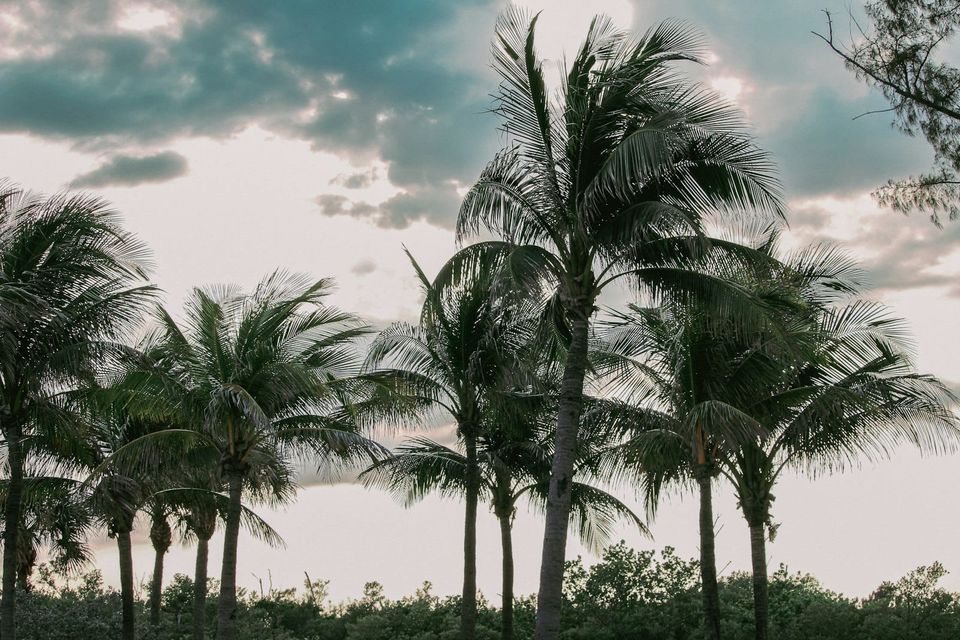 How to Prep a Florida Rental for Summer Storm Season