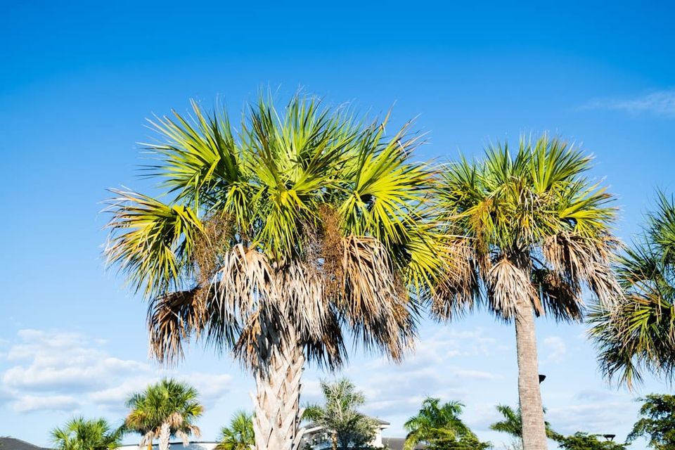How to Buy Your First Rental Property in Florida: A Step-by-Step Guide