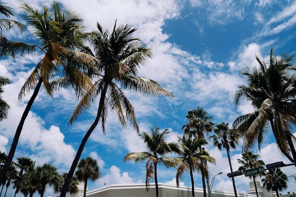 Port Tampa City Rental Investment: South Tampa Without the Ceiling
