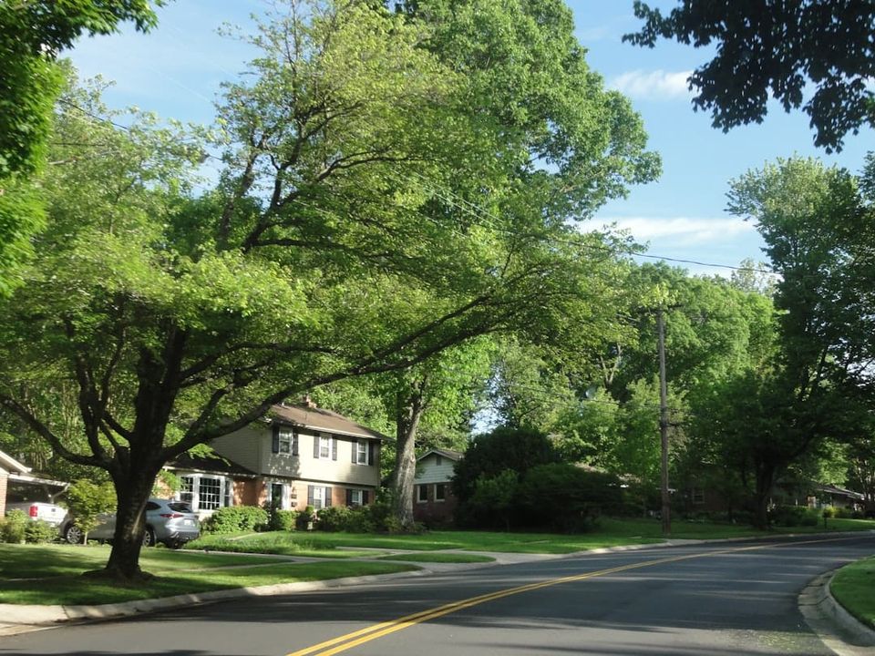 Apopka FL Rental Property Investment: A Two-ZIP City