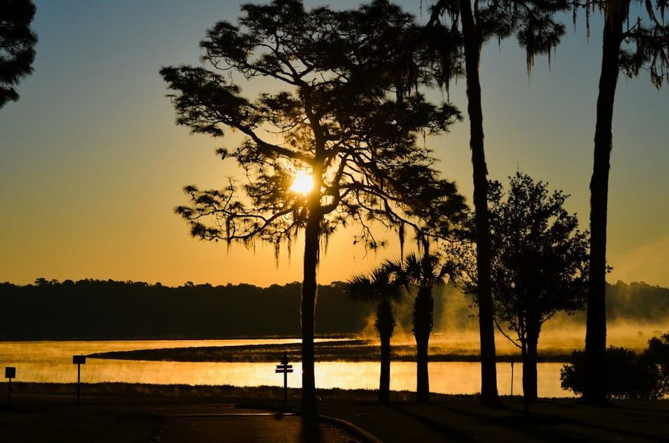 Sunrise over a Central Florida lake framed by pines and palms