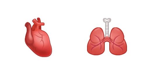 Emojipedia-Samsung-One-UI-2_5-Body-Part-Emojis-1