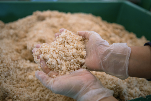Making Miso with
Chef Naomi Pomeroy and the Ladies of Aloha Farm
