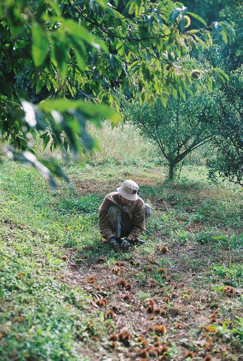 Mirai no Hyakusho (Ways We Work) Podcast #1: Ryo Ogawa