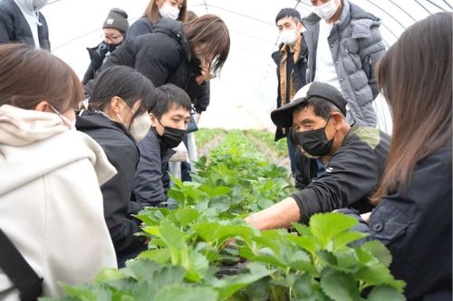 Interview: How three-Michelin-star Tokyo restaurant, L'Effervescence builds their team with young leadership