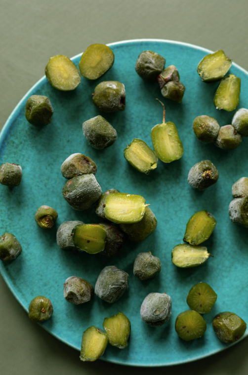 Love Letters From Nature