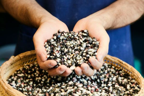 Meet: Marco Garcia owner and chef of Los Tacos Azules, Tokyo