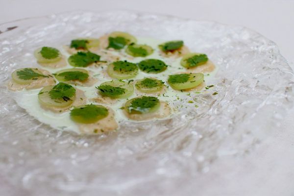 Scallop & grape carpaccio, Mexican sesame sauce, coriander milk