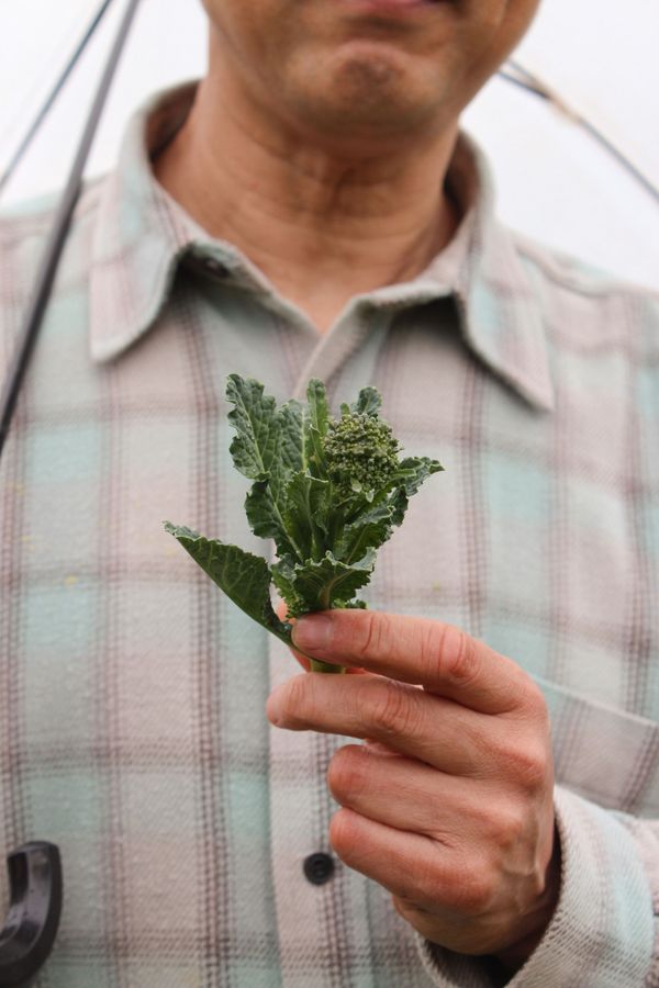 Mirai no Hyakusho (Ways We Work) Podcast: #4 (Part 1) Kunihiko Murayama