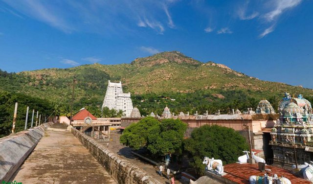 arunachaleshwarar_history