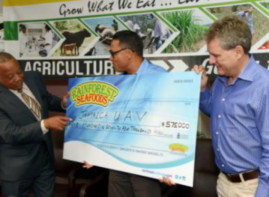 DronePresentationA20150514I