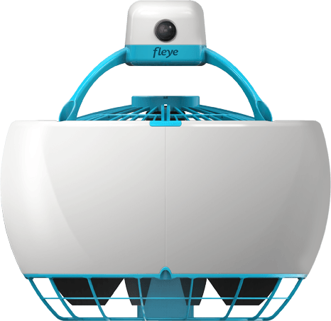 fleye