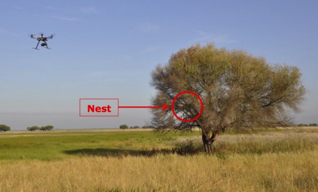 image uas nest